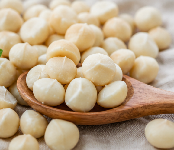 مغز ماکادمیا خام باکیفیت